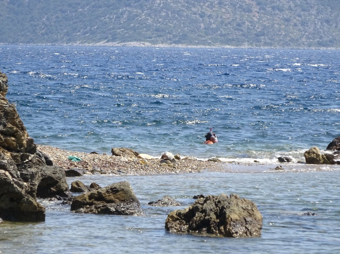 Glyfa (Steni Vala) Beach景点图片
