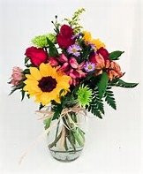 D Garden The Superlative Floratique-塞维尔维尔必去景点