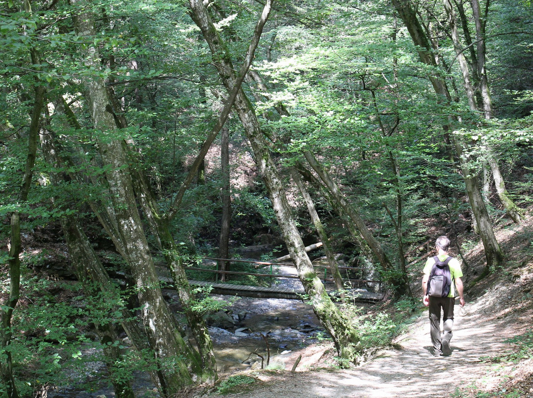 Mastershausen旅游攻略图片