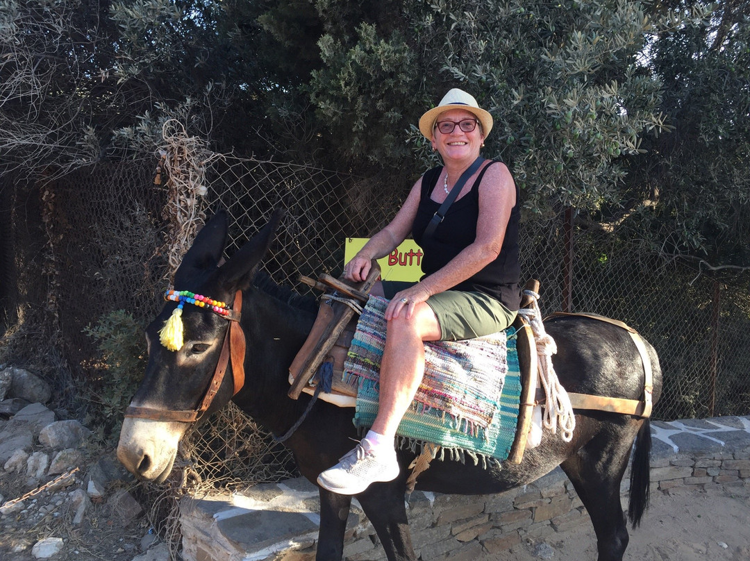 Donkey Trips on Paros景点图片