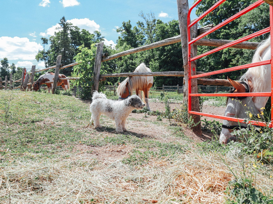 Fallbrook Trail Ranch-Georgetown必去景点