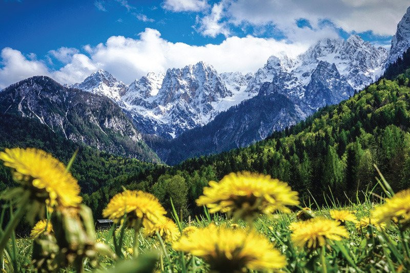 Photosafari Slovenia-布莱德必去景点