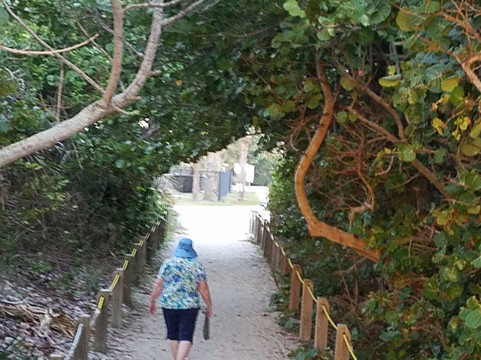 Pepper Park Beach-匹尔斯堡必去景点