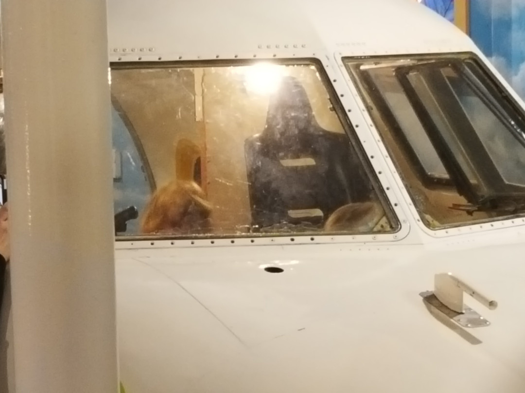 Upper Peninsula Children's Museum-Marquette必去景点