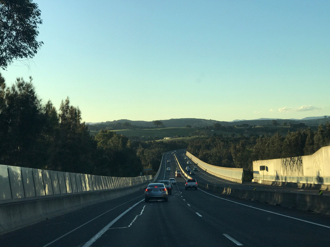 The Sydney Art Store-悉尼必去景点