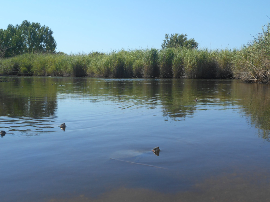 Komitsa Beach-Koumitsa必去景点