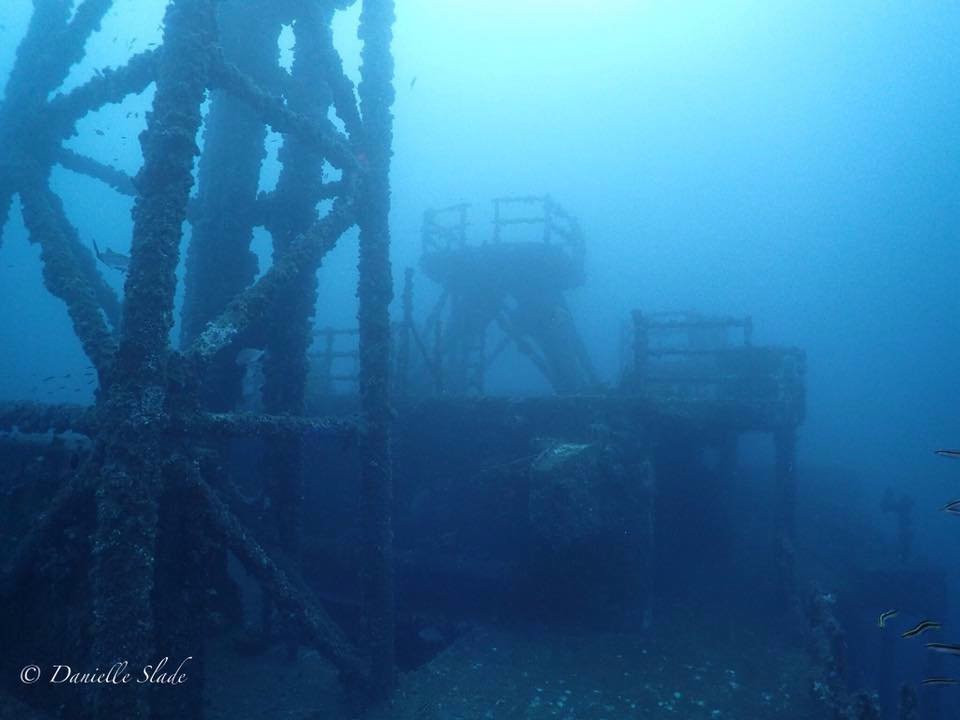 Pro-Dive Central Coast-Killarney Vale必去景点