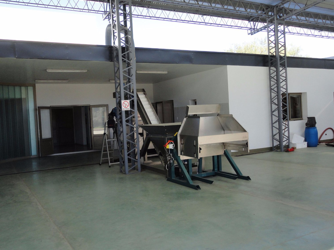 Olium-Villa Las Rosas必去景点