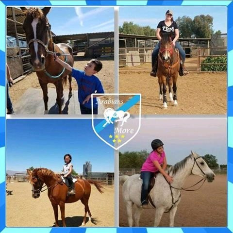 Arabians and More-Litchfield Park必去景点