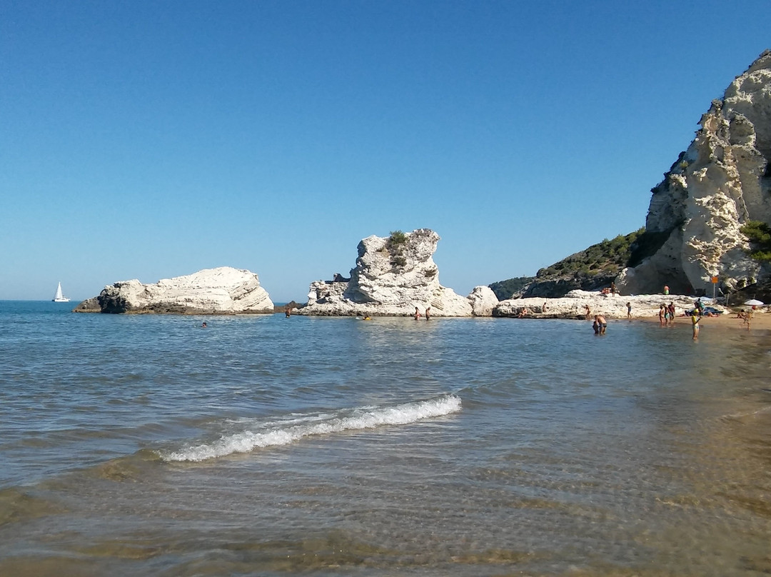 Spiaggia del Pizzomunno