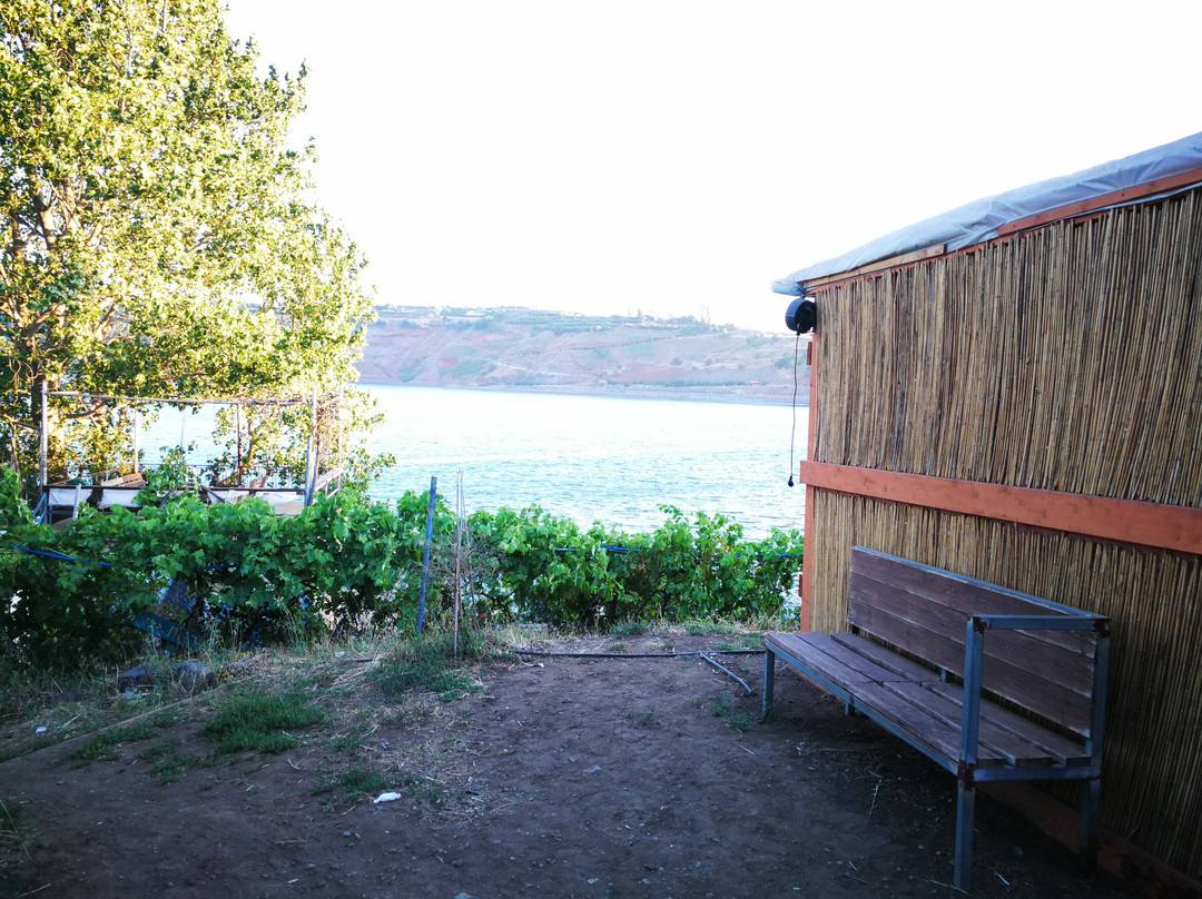 Bambook Park-马萨达必去景点