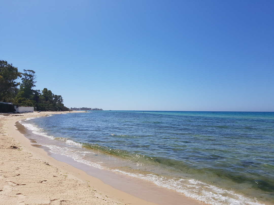 Hammamet Beach景点图片