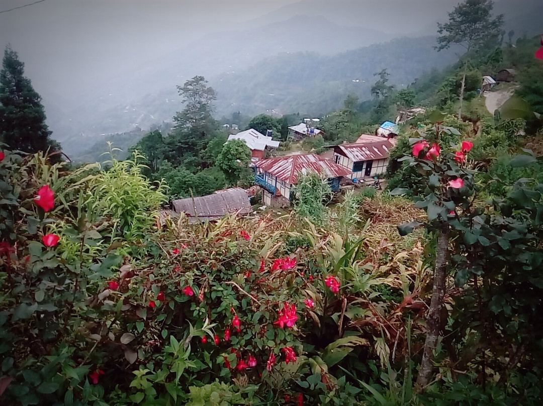 Kolakham Eco Huts主图