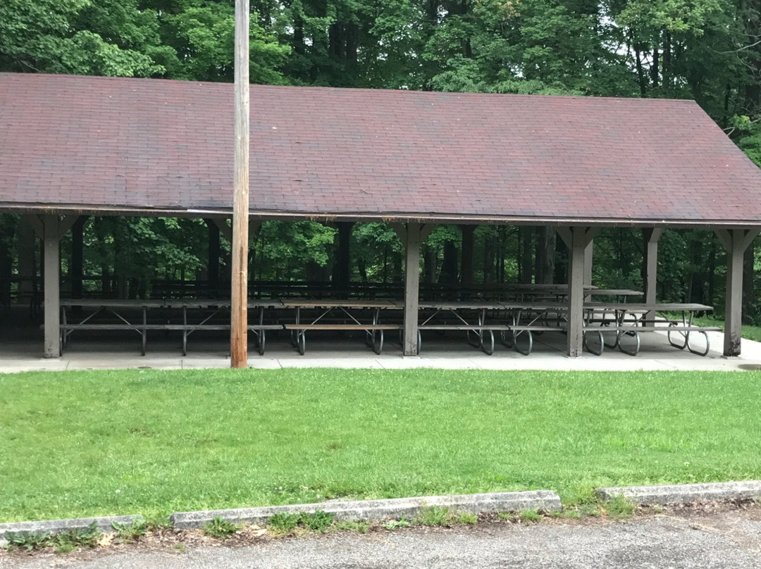 Mt Gilead Ohio State Park景点图片