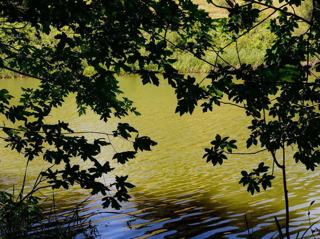 Horseshoe Lake-圣马特奥必去景点