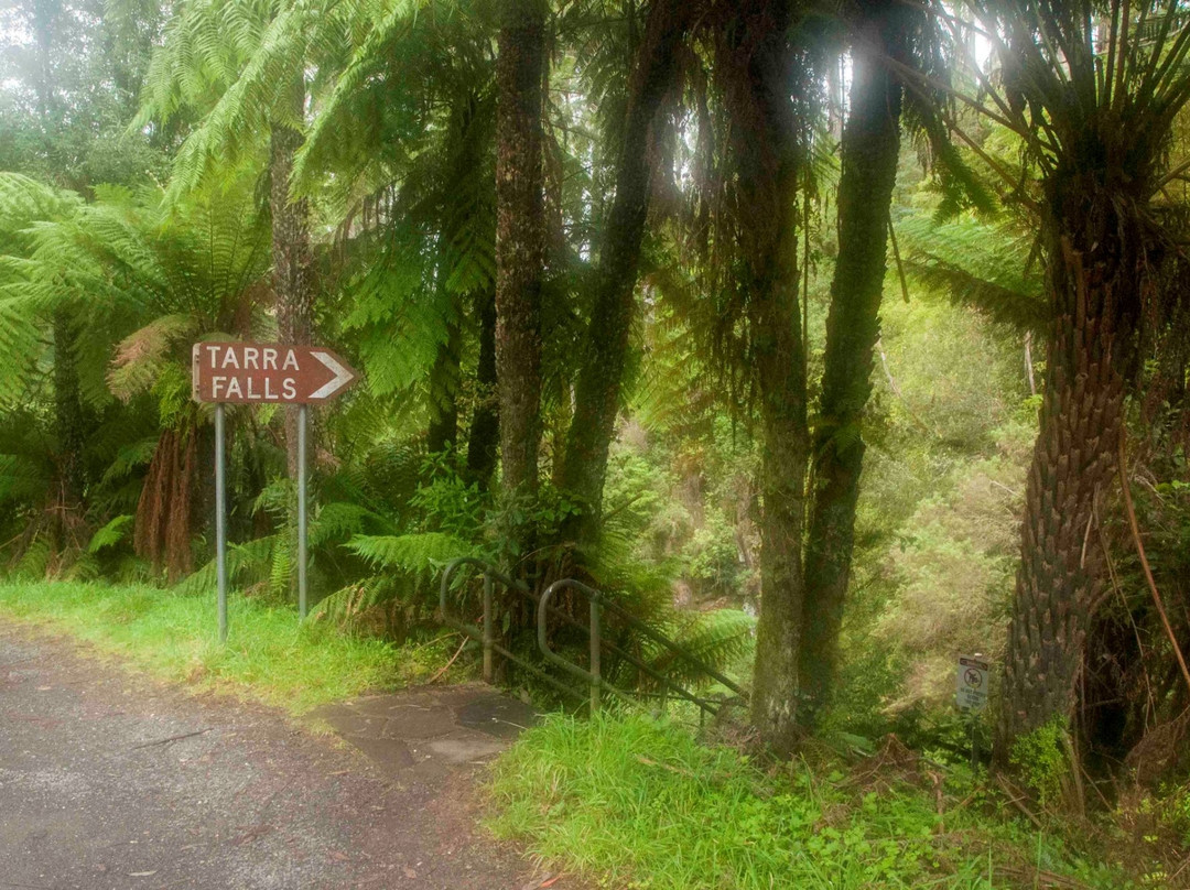 Balook旅游景点-Tarra Falls