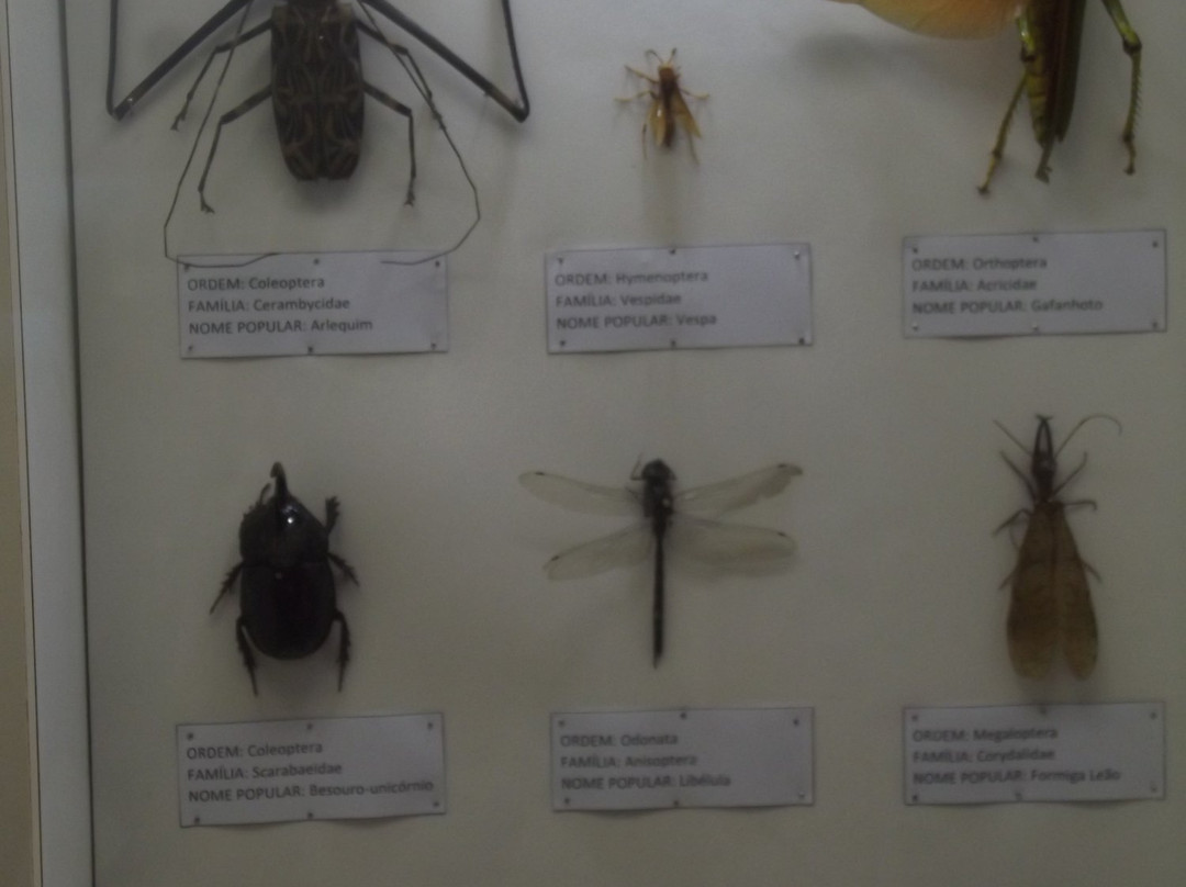 Univates University Museum of Natural Science-Lajeado必去景点