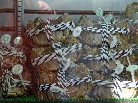 上环街市-香港必去景点