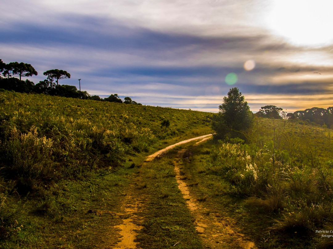 Sítio da Tia Júlia