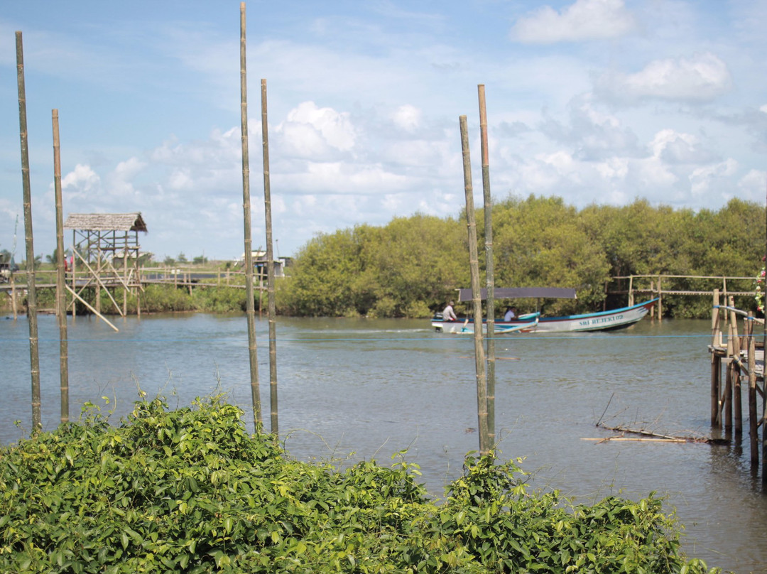 Mangrove Forest Kulon Progo-Kulon Progo必去景点