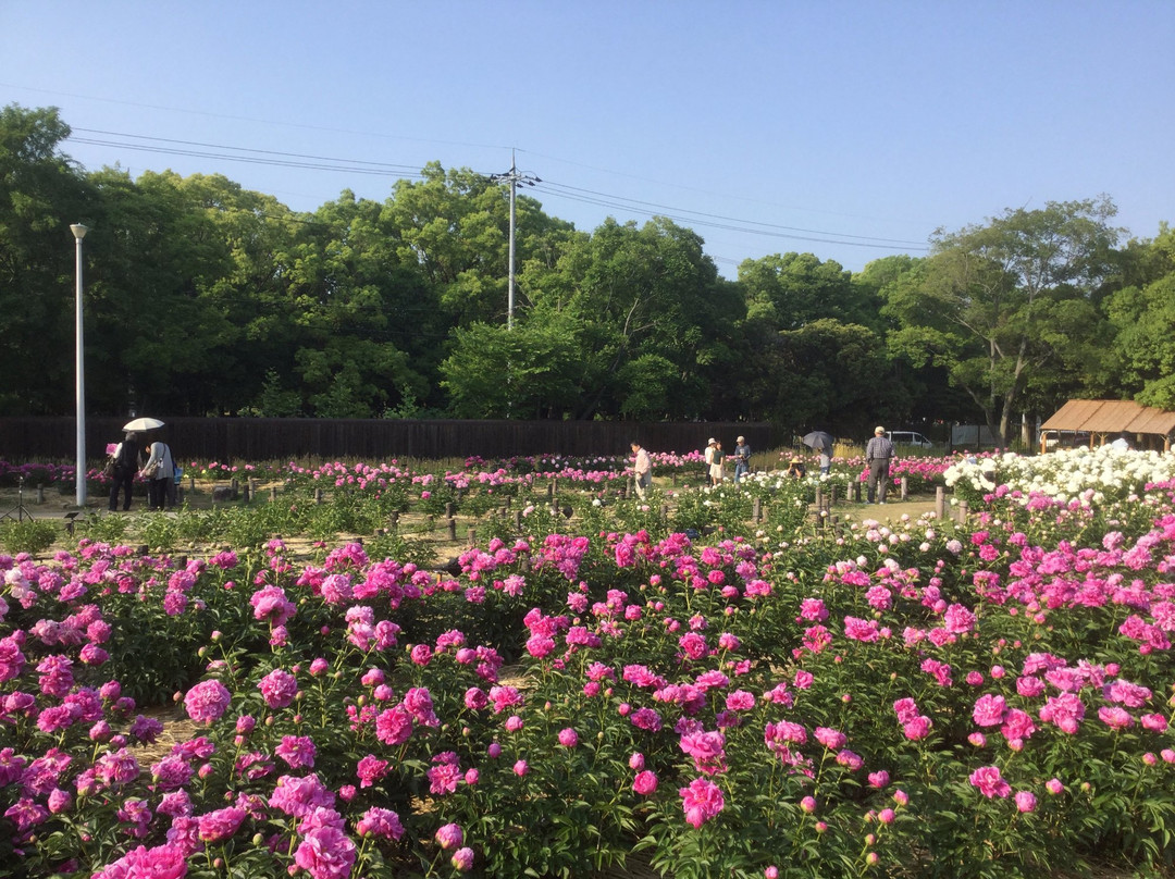 Kyuhojiryokuchi-八尾市必去景点