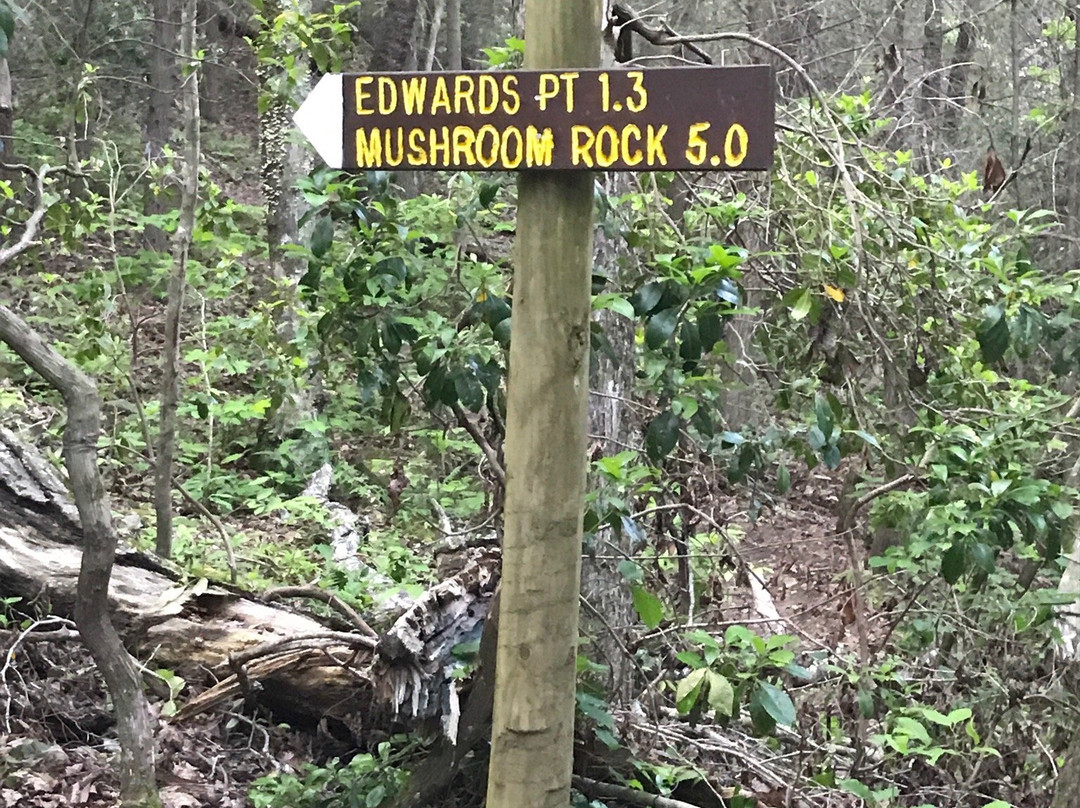 Rainbow Lake Trail-Signal Mountain必去景点