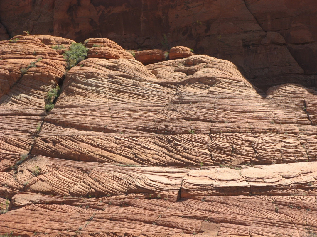 Edmaiers Secret-比格沃特必去景点