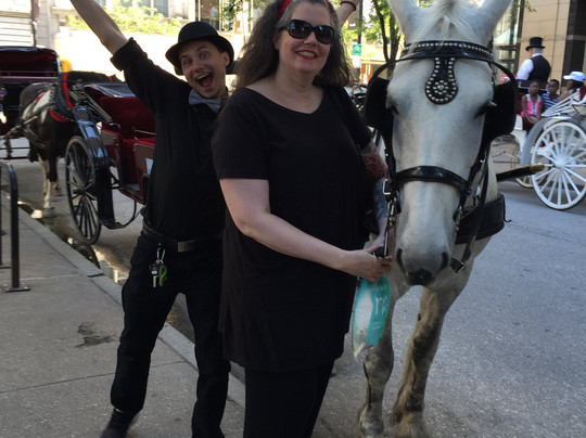 Chicago Horse and Carriage-芝加哥必去景点