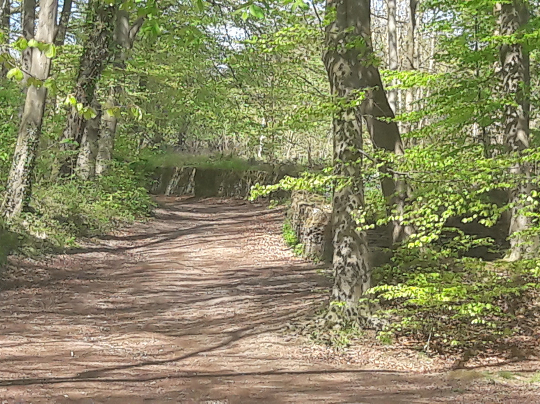 Linacre Reservoirs景点图片