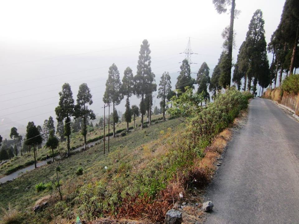 Kurseong酒店住宿-Singell Homestay