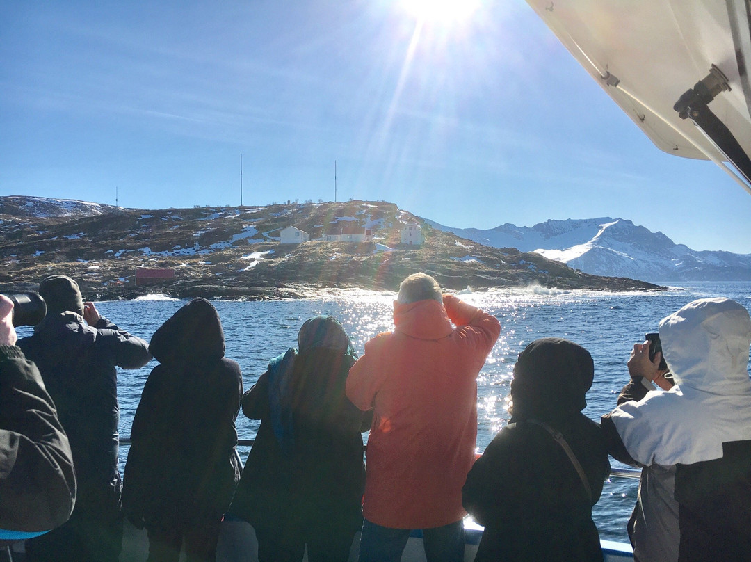 Sommarøy Cruise-Sommaroy必去景点
