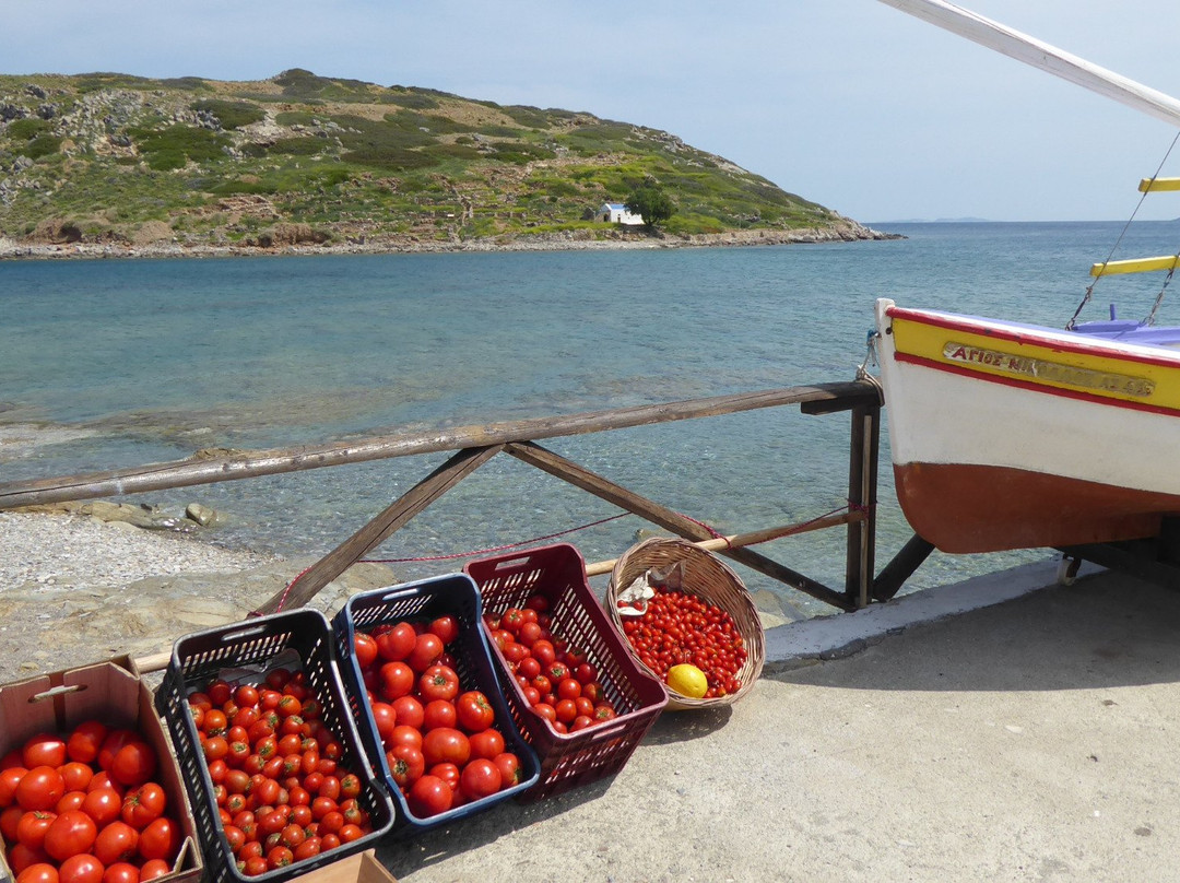 Tourloti餐馆和美食-Taverna to Bogazi