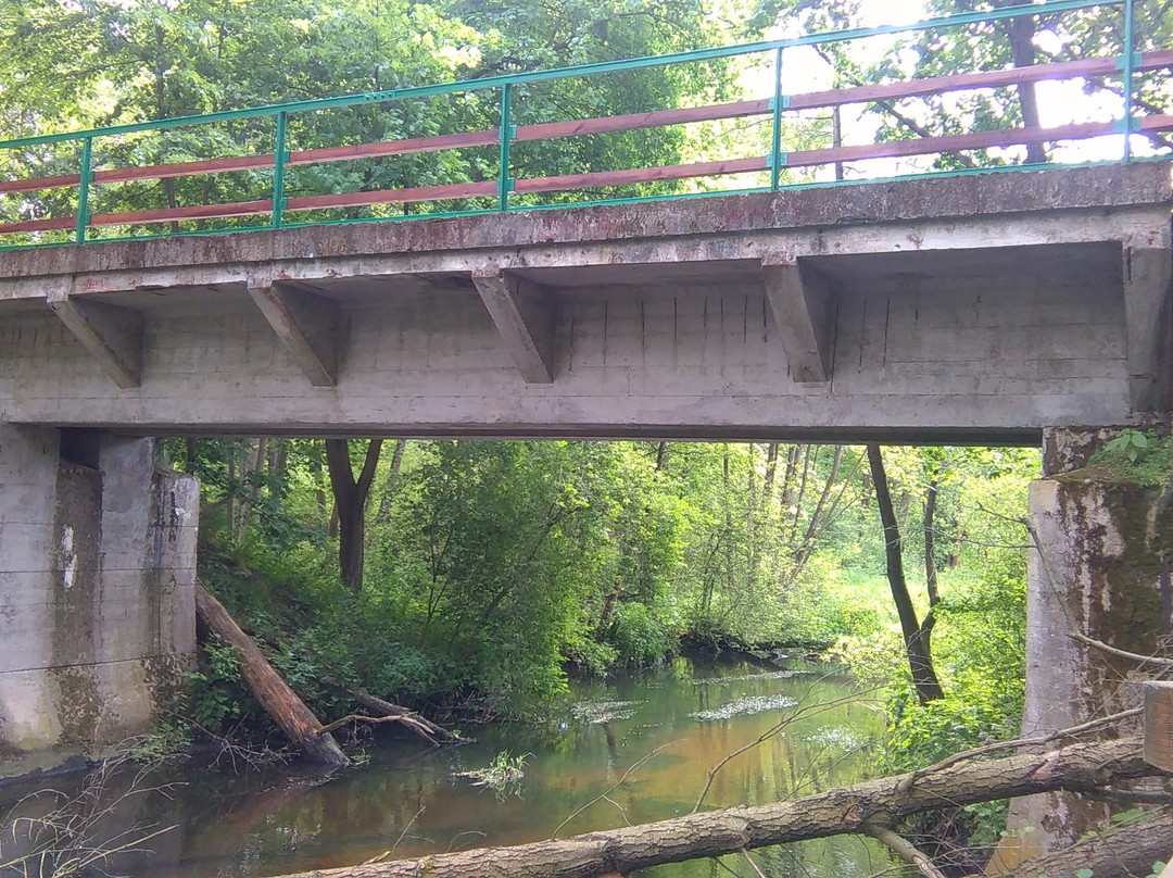 Zrodła Krolewskie-Kozienice必去景点