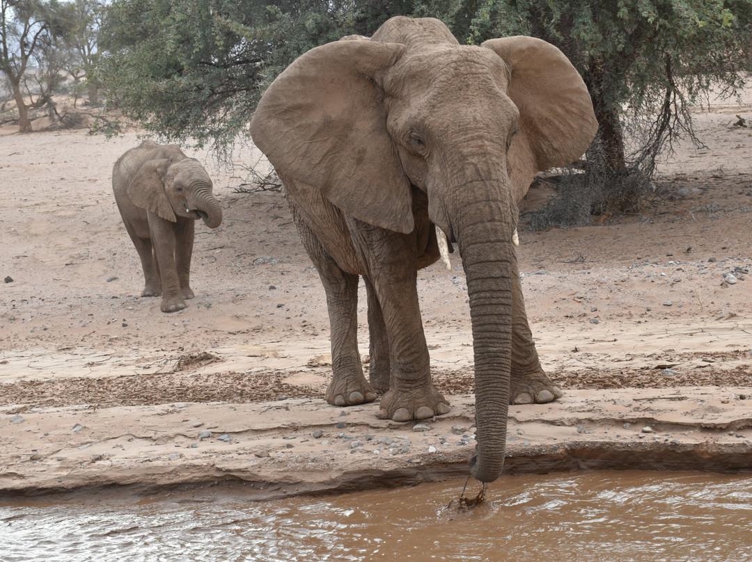 Hoanib River-Kaokoland必去景点