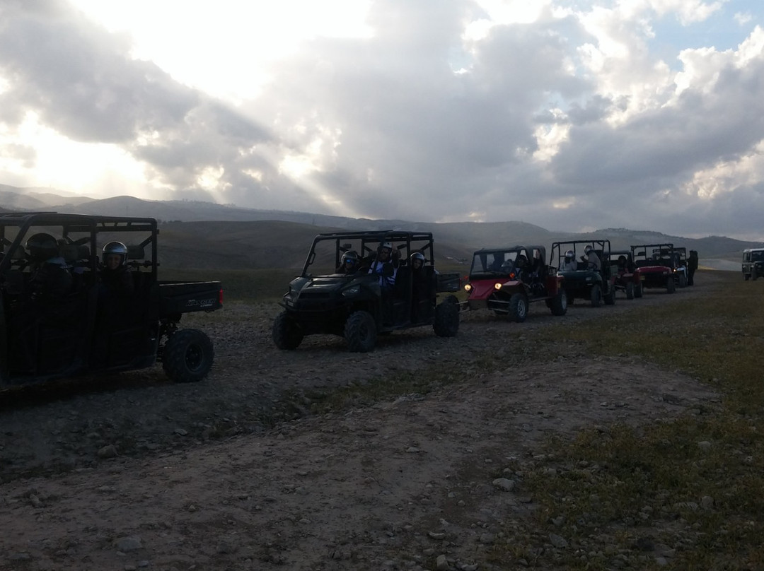 Cnaan Tours Desert Experience景点图片