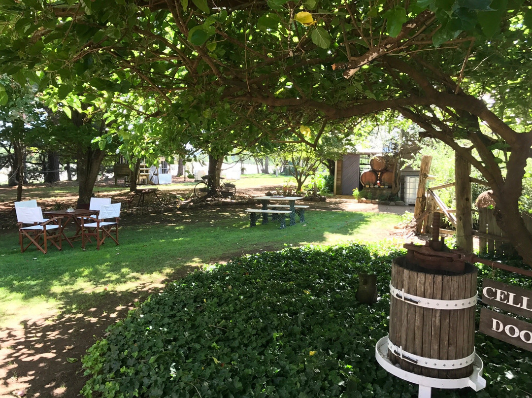 Joadja Vineyard-Berrima必去景点