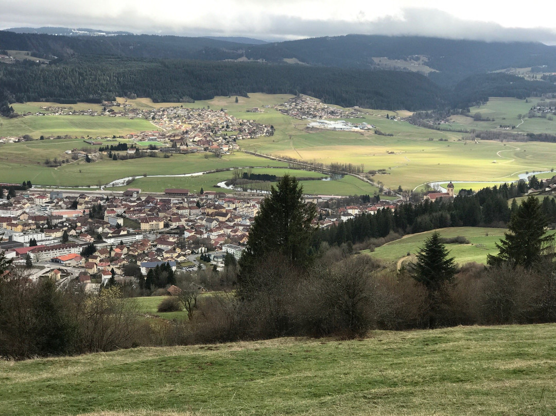 Belvédère du Mont Vouillot景点图片