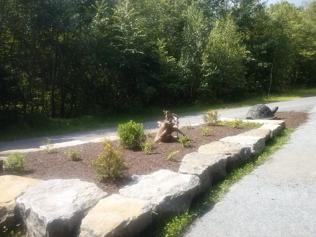 Lackawanna River Heritage Trail景点图片