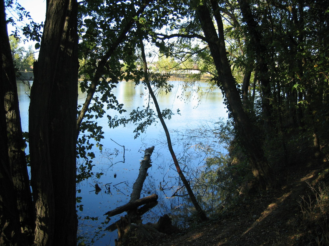 Lac de Saint Caprais景点图片