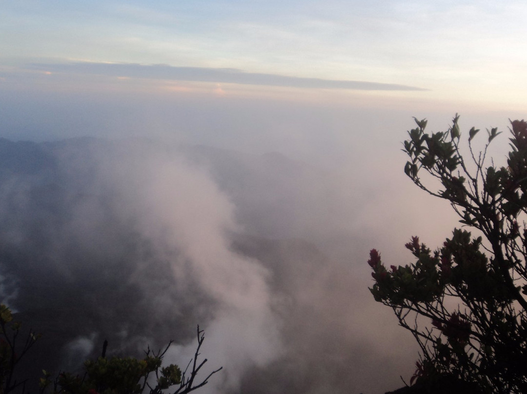 Gede Pangrango National Park-苏加武眉必去景点