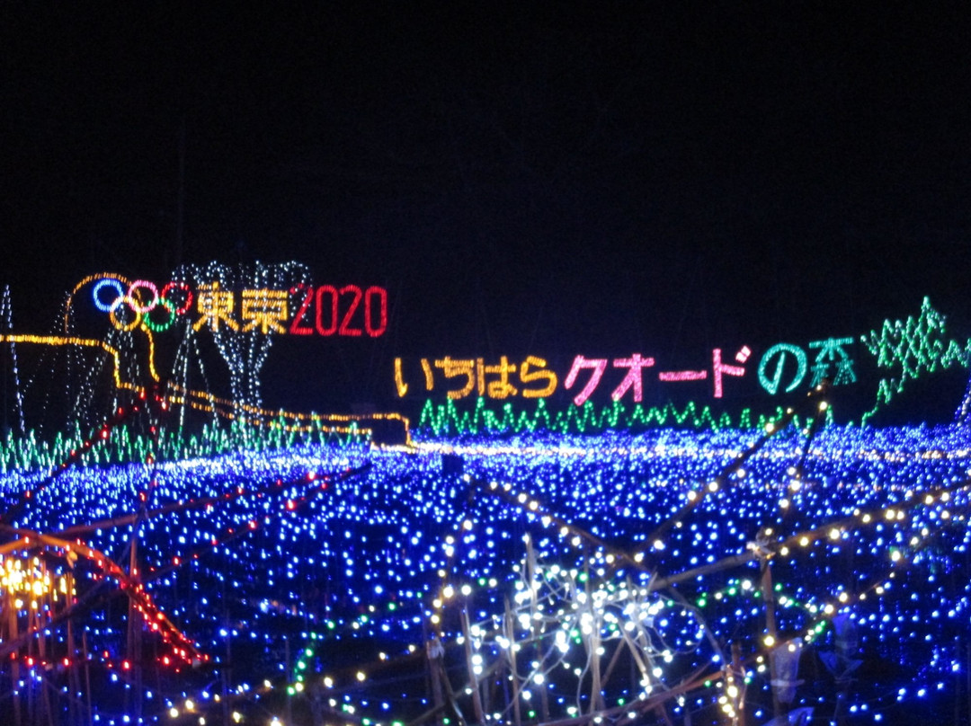 Ichihara Quard's Forest-市原市必去景点