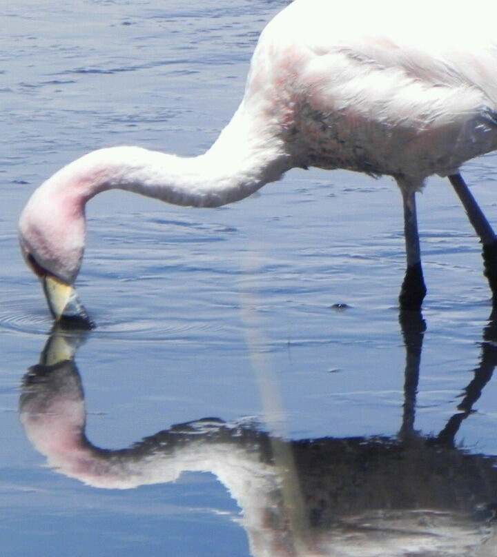 Encanto del SUD Tour Operator