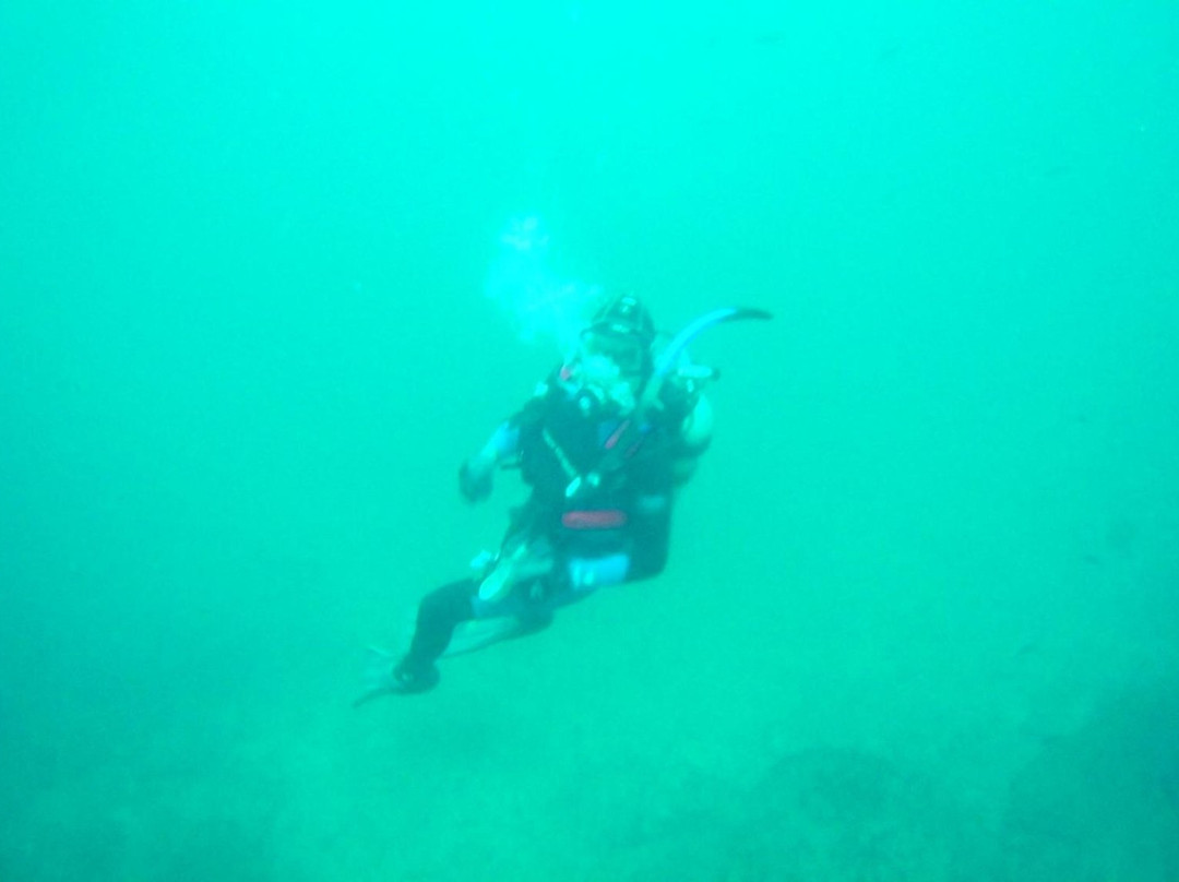 Baja Diving Adventures景点图片