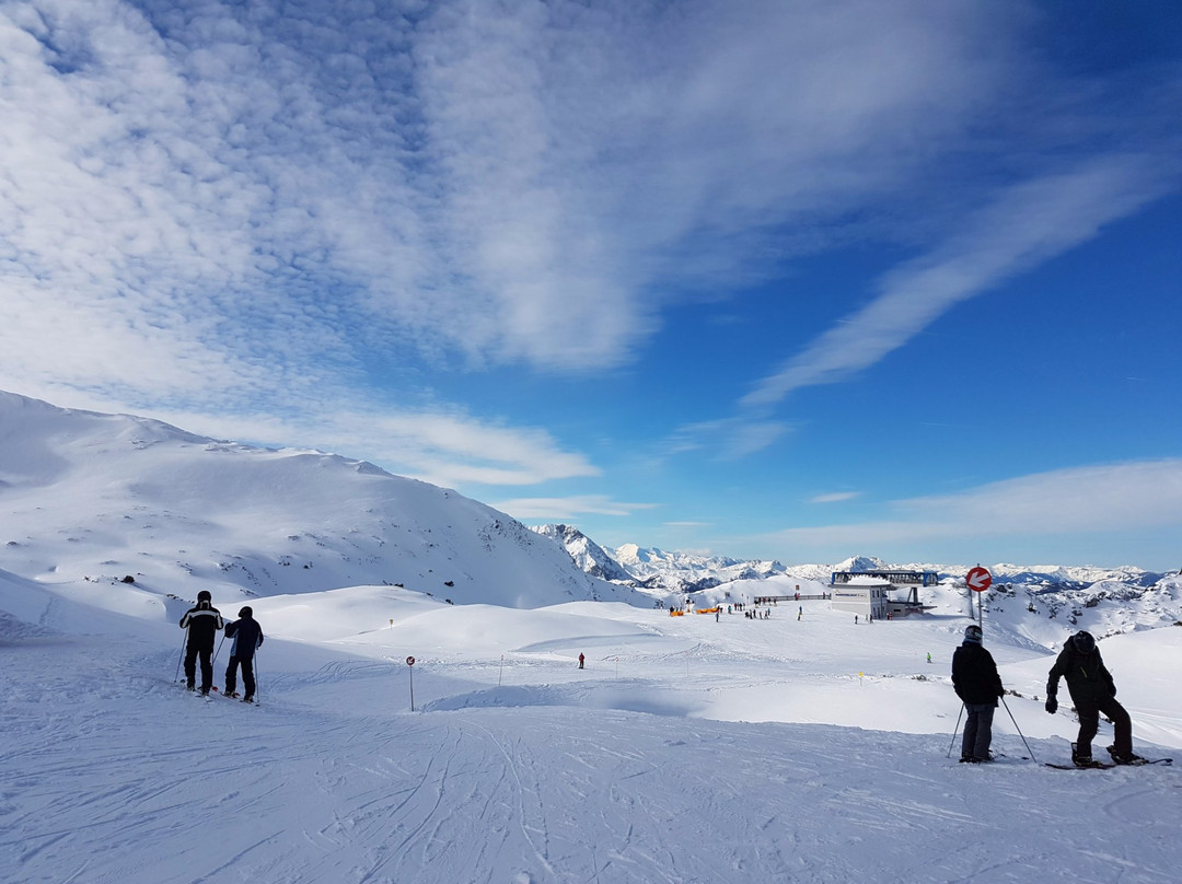 Weltmeister Schischule Top Alpin Walchhofer景点图片