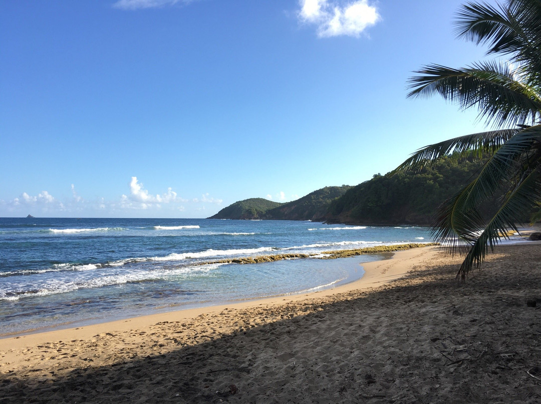 Surf Up Martinique-La Trinite必去景点