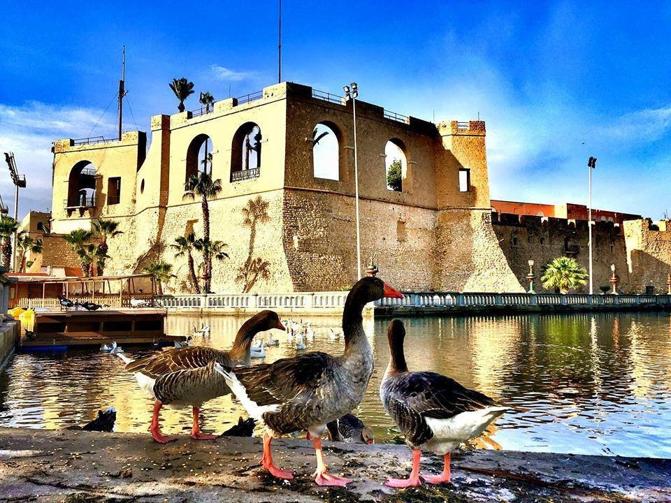 Tripoli's Red Castle (Assai al-Hamra)景点图片