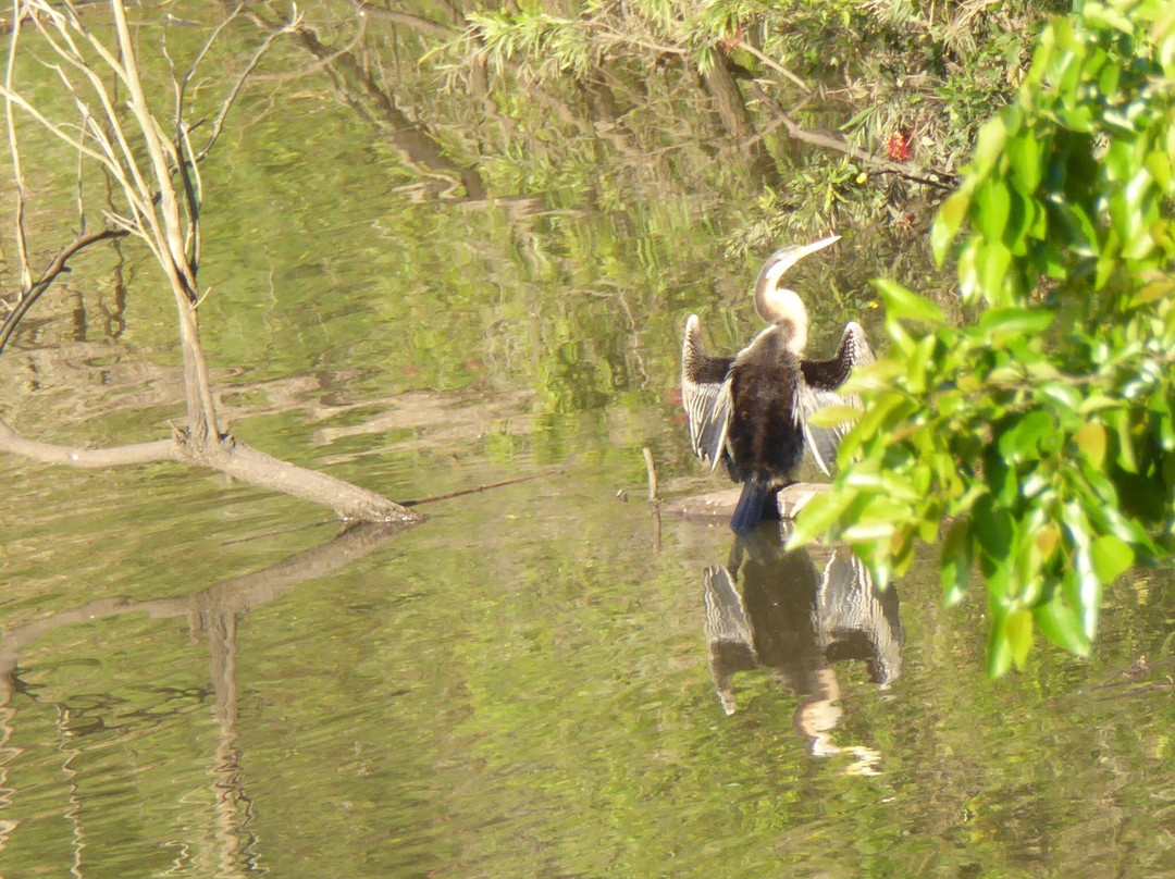 River Heart Parklands景点图片