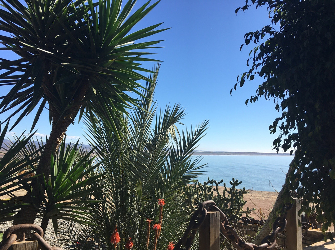 San Antonio de las Minas酒店住宿-La Cueva Del Pirata