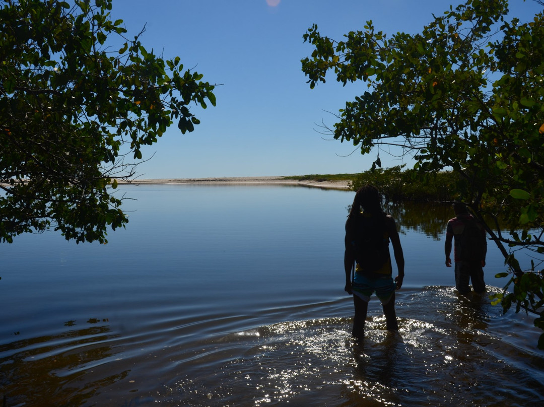 Bicho-preguiça Ecoturismo-Itacare必去景点