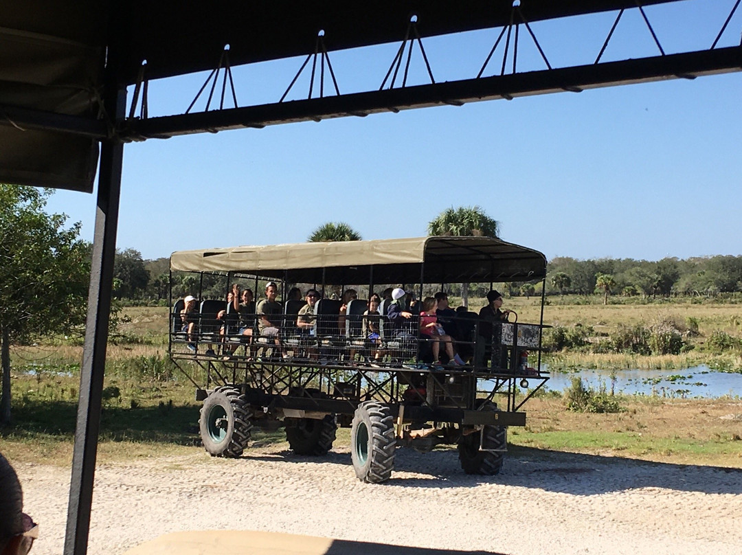 Billie Swamp Safari